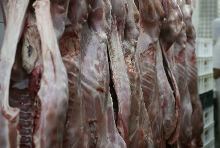 Escalas de Abate Confortáveis Limitam Altas do Boi pelo Brasil