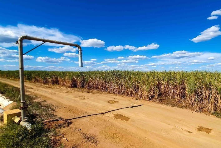Secretaria de Agricultura publica análise do comércio exterior do agronegócio mineiro