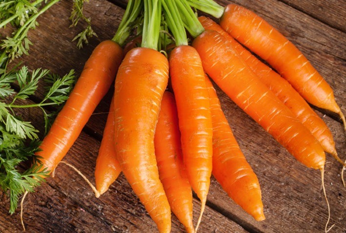Mercado de Cenoura: Oferta elevada impacta preços