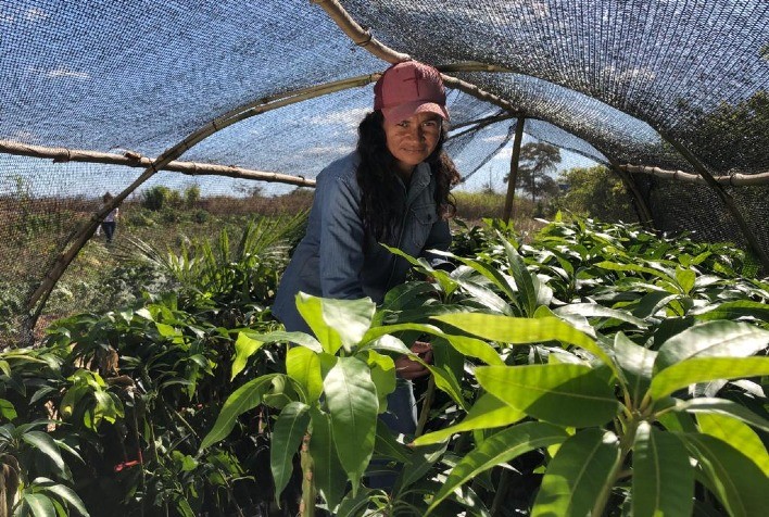 Tecnologia Aprimora Projeto de Fruticultura Irrigada no Vão do Paranã, GO