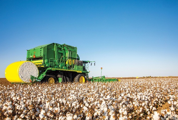 Colheita de Algodão Inicia em Mato Grosso com Leve Atraso