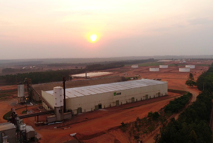 Cocal Registra Crescimento Financeiro Sólido na Safra de Cana 2023/24