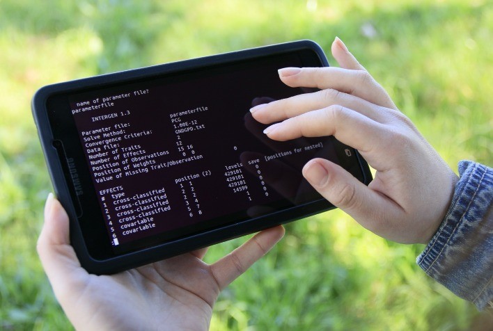 Avanços para o Melhoramento Genético Nacional