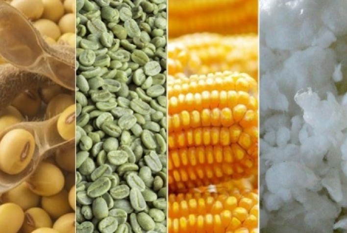 Relatório trimestral do Rabobank: Perspectivas para commodities no segundo trimestre de 2024