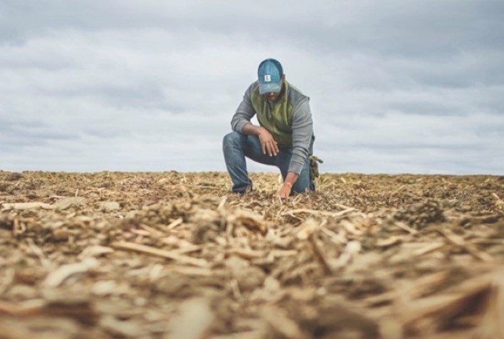 Imea Aponta Déficit de Mão de Obra Qualificada no Setor Rural de Mato Grosso