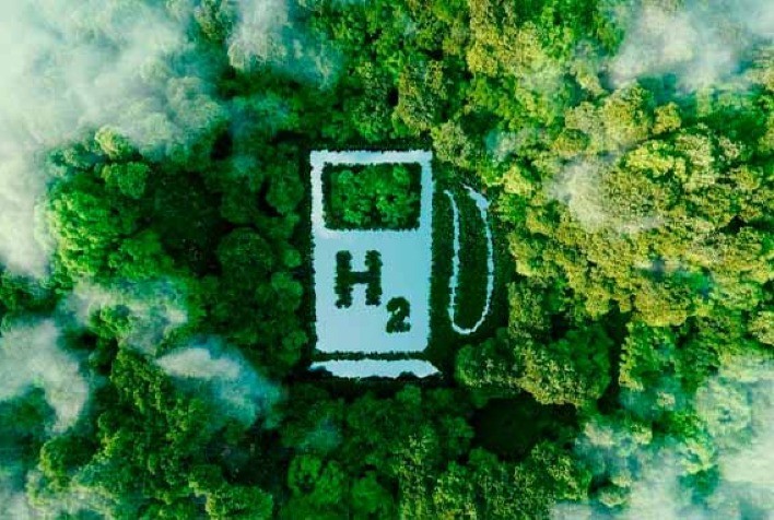 Eletrobras e Suzano Unem Forças para Impulsionar Produção de Hidrogênio Verde e Combustíveis Sintéticos