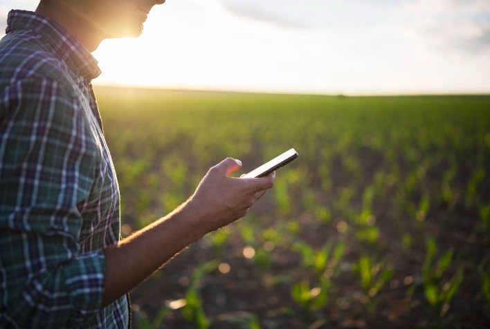 Produtores Rurais Brasileiros Adotam Compras Online de Insumos Agrícolas