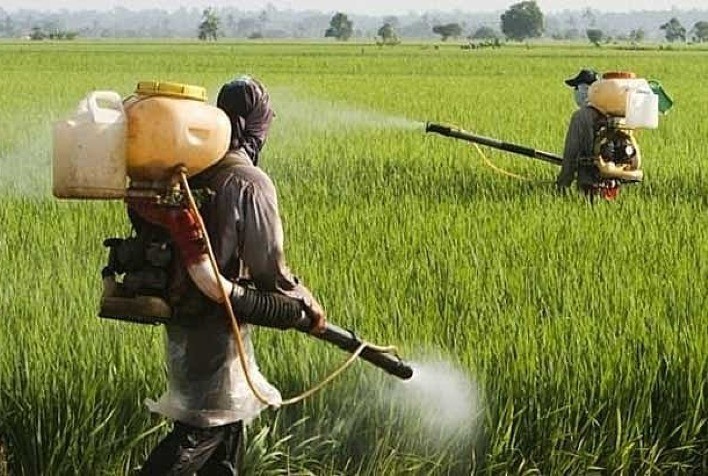 "Projeto de Lei Desperta Controvérsia ao Incluir Bioinsumos como Agrotóxicos"
