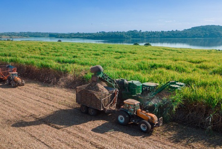 Entidades se Unem para Desenvolver Máquinas de Colheita de Cana no Nordeste