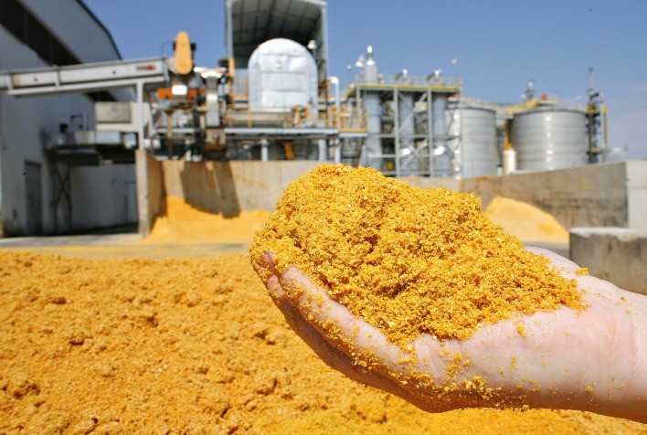 Produção de DDG Deve Aumentar 31,6% na Safra 2024/25, Estima Unem