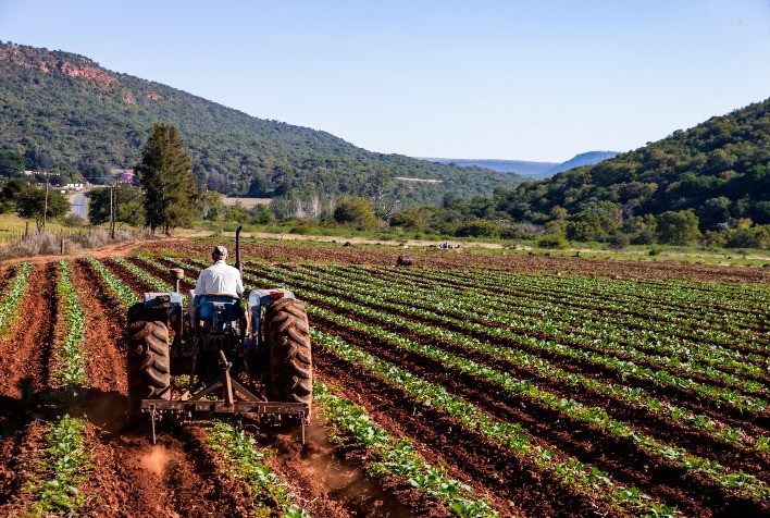 Agro Amazônia Revoluciona Gestão com Nuvem e Business Intelligence