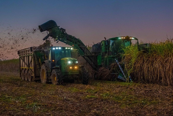 Boas Perspectivas para a Colheita de Cana-de-Açúcar em Santa Rosa