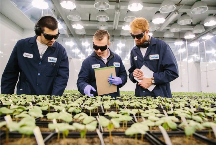 Inteligência Artificial Transforma Biotecnologia e Sustentabilidade no Agronegócio