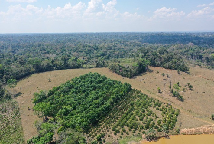Embrapa Lança Rede Restaurabio para Fortalecer Restauração de Ecossistemas