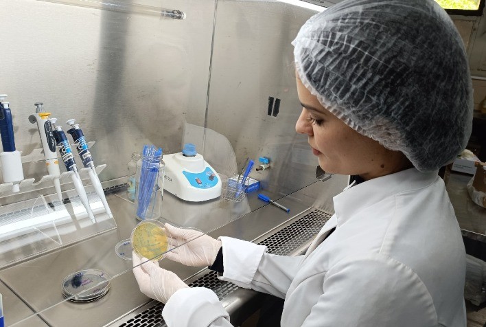 LabQuali da Agrodefesa passa a realizar análise para detectar bactéria altamente prejudicial à saúde humana