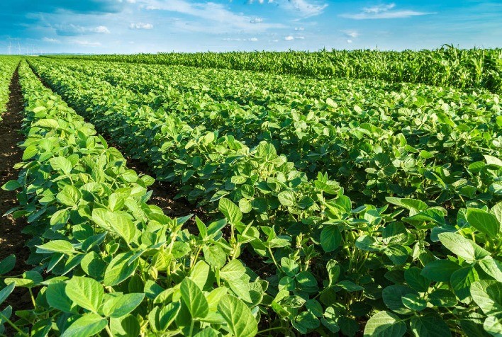 Microgeo Revoluciona o Manejo Biológico do Solo em Escala Internacional