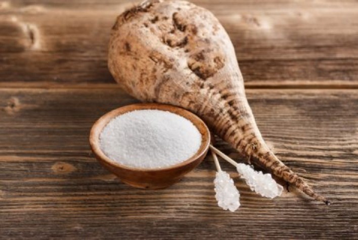 União Europeia Compensa Clima Adverso com Aumento na Área Plantada de Beterraba