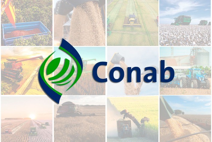 Conab aponta que Brasil deve produzir 299,27 milhões de toneladas de grãos na safra 2023/2024