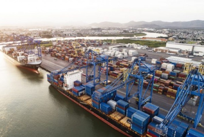 Setor Florestal Brasileiro Registra Alta nas Exportações de Painéis de Madeira no Primeiro Trimestre