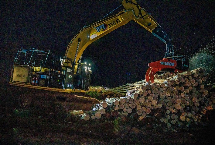 Contrato Spot: Uma Nova Tendência no Mercado Florestal