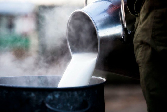 Preço do Leite para Produtor em Mato Grosso Registra Aumento de 8%