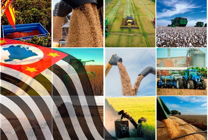 Superávit do Agronegócio Paulista Atinge 9,4% no Primeiro Semestre de 2024