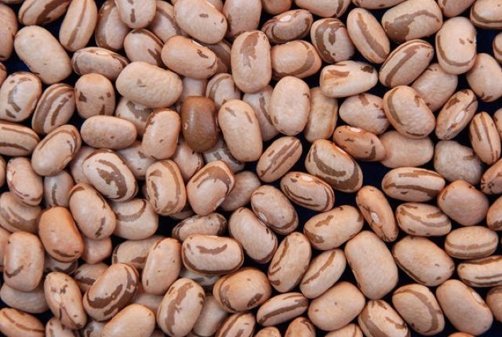 Ibrafe: Produtores de Feijão Buscam Novos Compradores