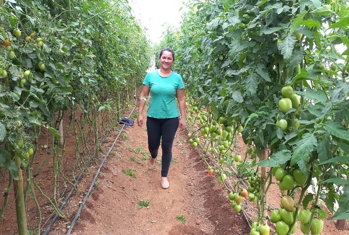 Crescimento de 63% no Número de Produtores Orgânicos Certificados no Norte Pioneiro do Paraná