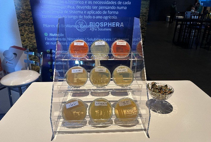 Inovação na Sojicultura: Biosphera Apresenta Bradyrhizobium elkanii como Alternativa Eficiente