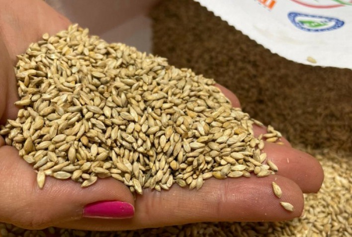 Produtores de Grãos Exigem Mudanças no Mercado de Forrageiras