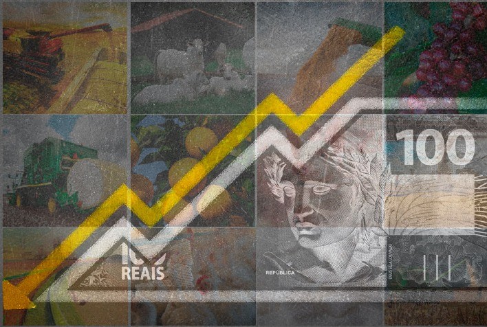 Ministério da Agricultura Publica Novos Preços Mínimos para Safra de Verão 2024/25