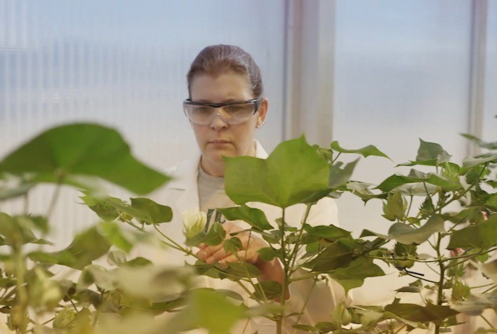 Illumina Realiza Webinar sobre o Poder da Genômica na Agricultura