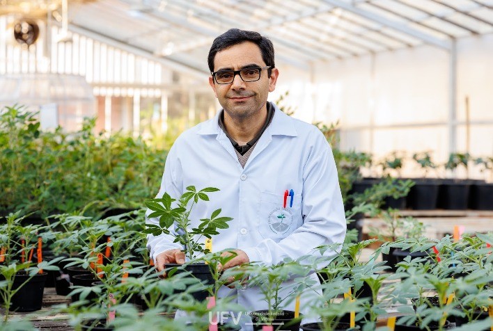UFV assumiu a liderança na pesquisa em Fisiologia Vegetal com novo Instituto Nacional de Ciência e Tecnologia - INCT