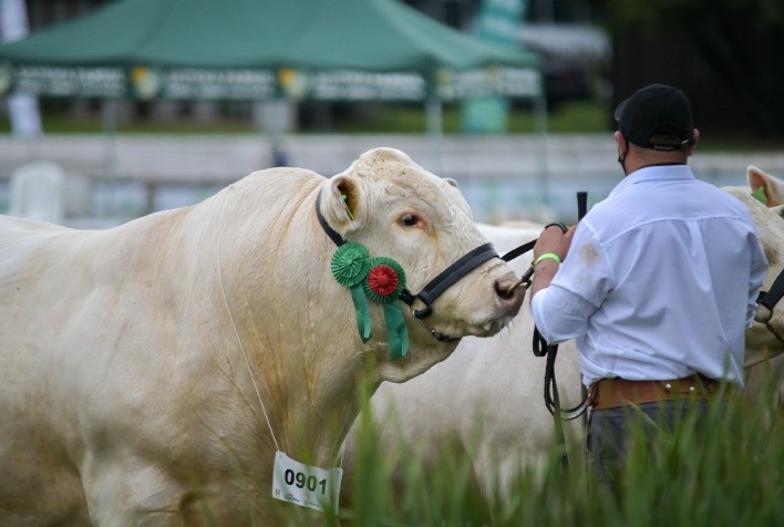 ANC Abre Inscrições para a Expointer até 24 de Julho
