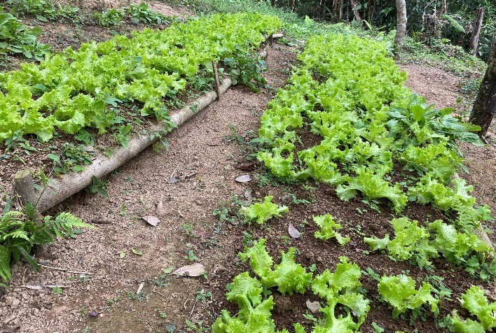Organizações Sociais de Controle devem se Recadastrar no Mapa