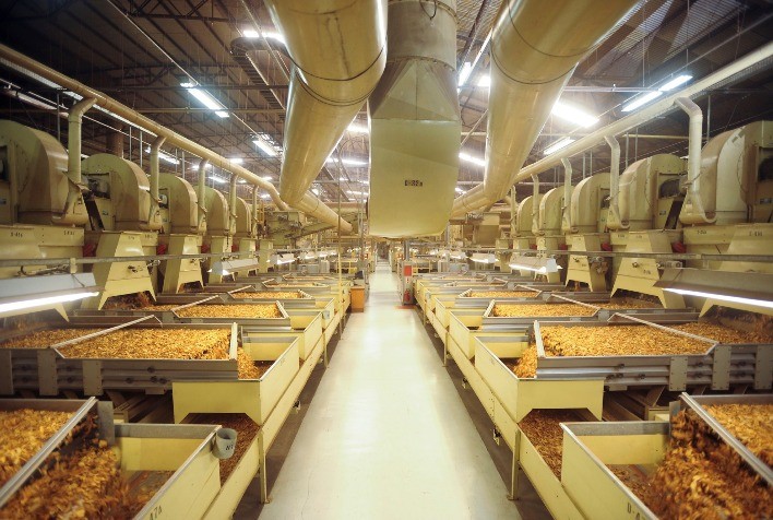 Exportações de Tabaco Crescem 7,65% no Primeiro Semestre