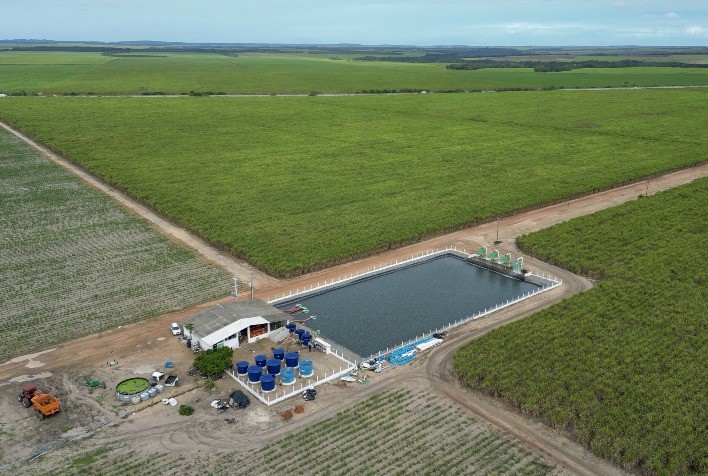 Irrigação por Gotejamento da Netafim Transforma a Produção de Cana-de-Açúcar na Estreito Agropecuária