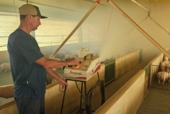 Termonebulização: Solução Eficaz para Controle de Doenças em Granjas de Suínos