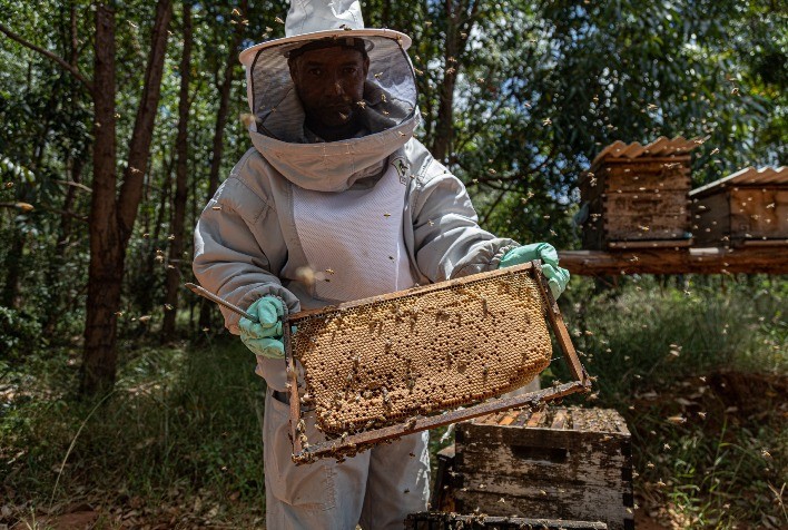 Codevasf Celebra Cinquenta Anos de Contribuições ao Desenvolvimento Regional