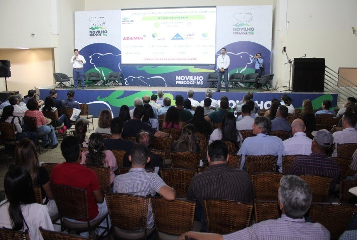 Abates de Novilho Precoce em MS Crescem 55% em 2024