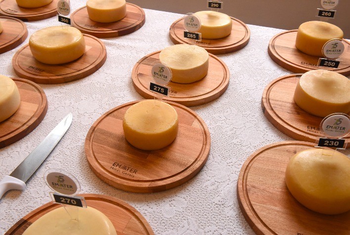 Novidade no Concurso Estadual de Queijos Artesanais de Minas Gerais: Categoria para Queijos Temperados