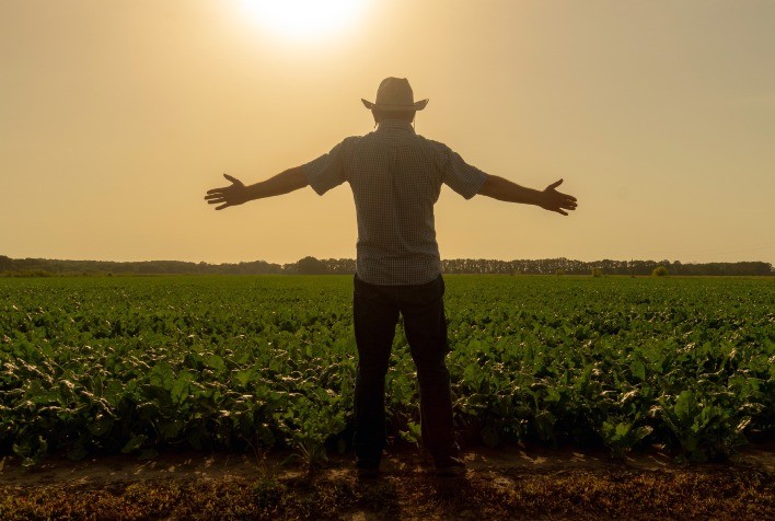 Estabilidade na Inadimplência Rural no Sudeste em 2024