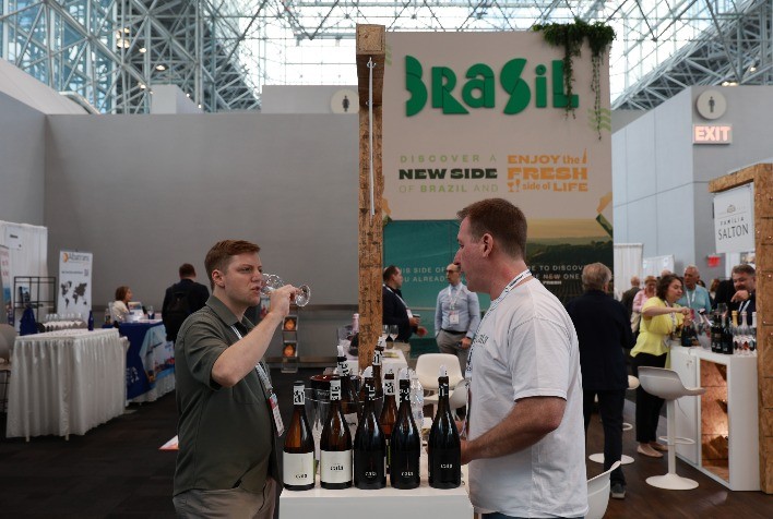 Vinícolas Brasileiras Expandem Horizontes Internacionais com Projeções Promissoras