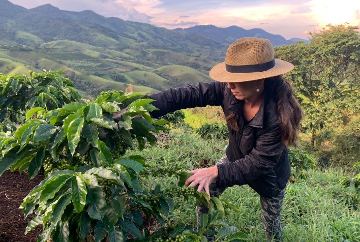 Avanço das Colheitas de Café no Brasil: Fazendas Investem em Grãos Especiais e Qualidade Superior