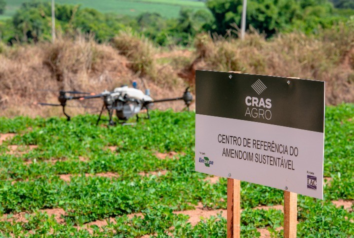 CRAS Agro Lança Novas Sementes de Amendoim no Plano Safra 2024/2025