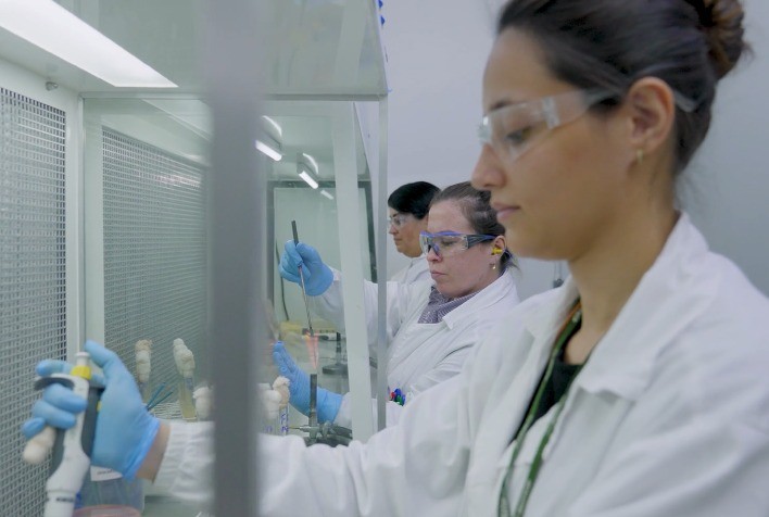 Biotecnologia Atrai Profissionais para o Agronegócio em Expansão