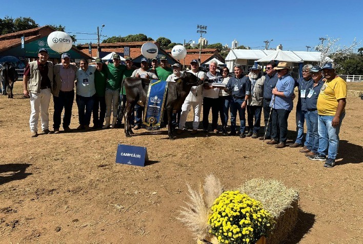 Os Segredos da Fazenda Leiteira Premiadas