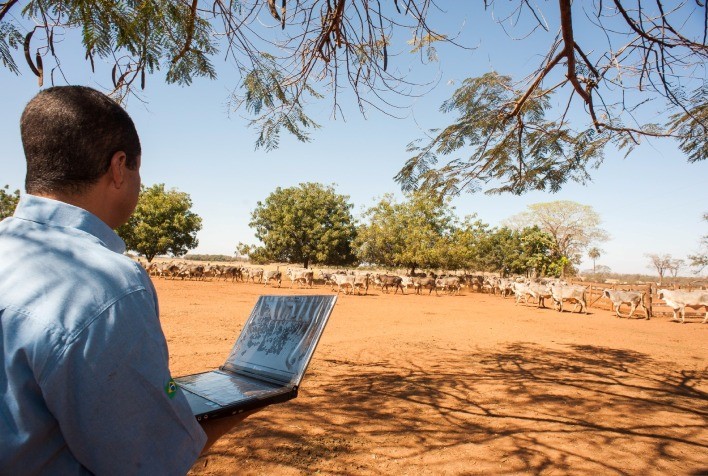 ABCZ Introduz Novas Avaliações no Programa de Melhoramento Genético de Zebuínos