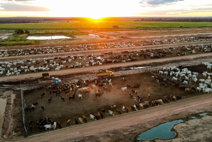 Fazenda Conforto recebe investimento de US$ 5 milhões e avança em sustentabilidade