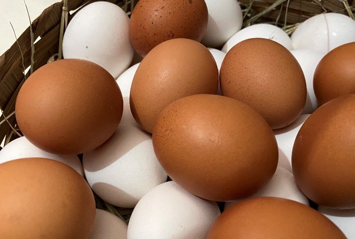 Fatores que Influenciam a Qualidade da Casca dos Ovos